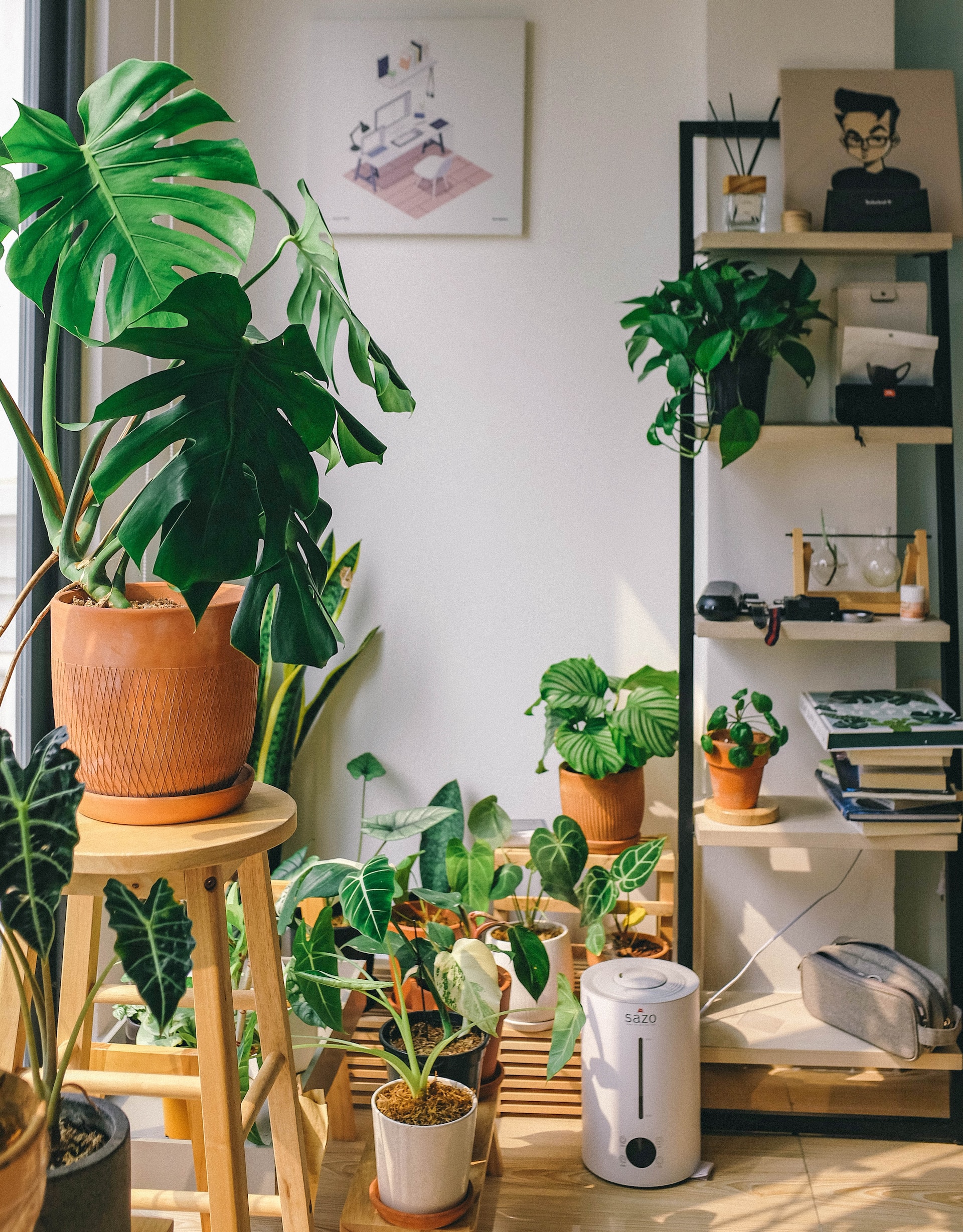 A Fresh Start for Your Leafy Companion: A Friendly Guide to Repotting Houseplants
