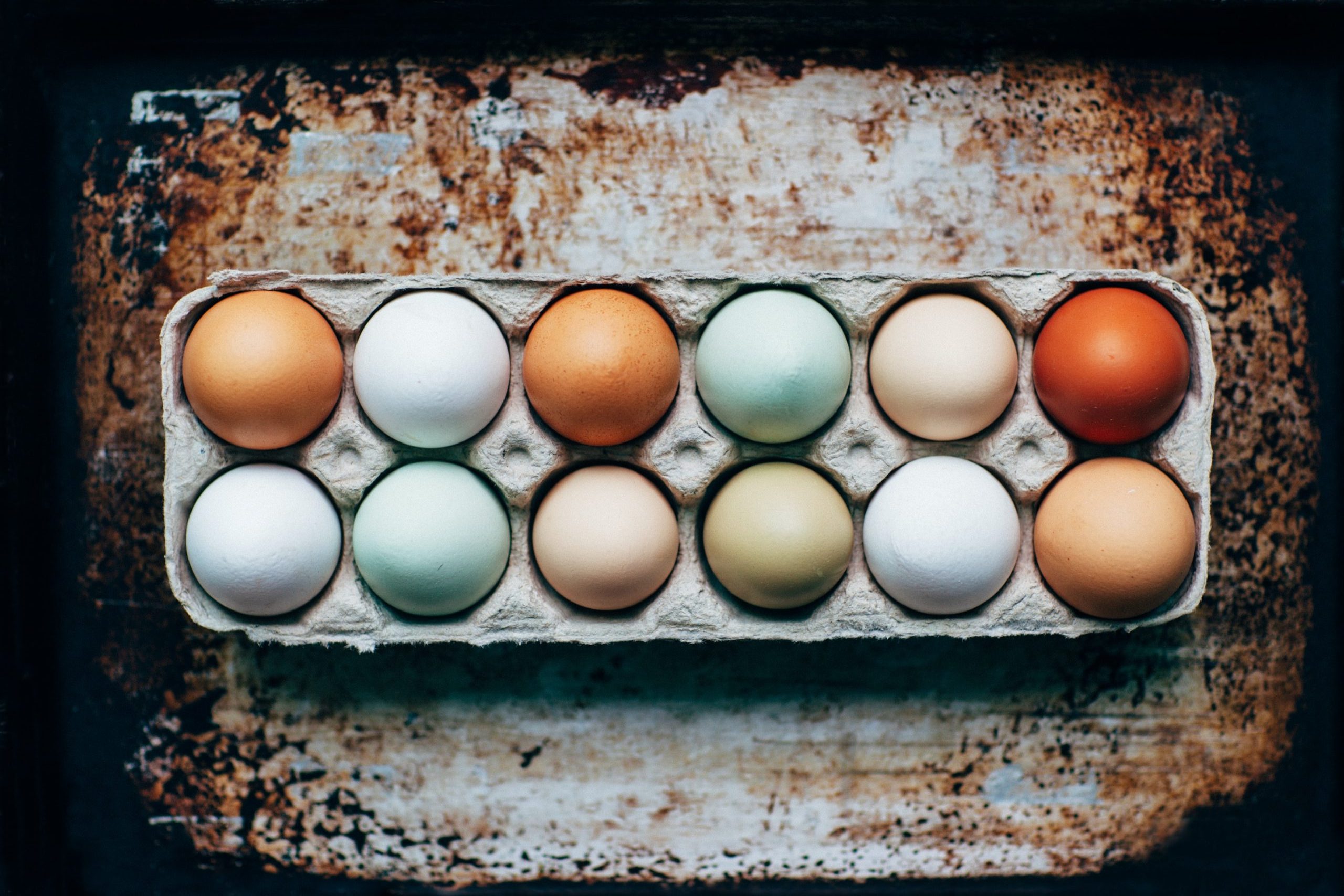 Egg-citingly Delicious: A Guide to Hard and Soft Boiled Eggs